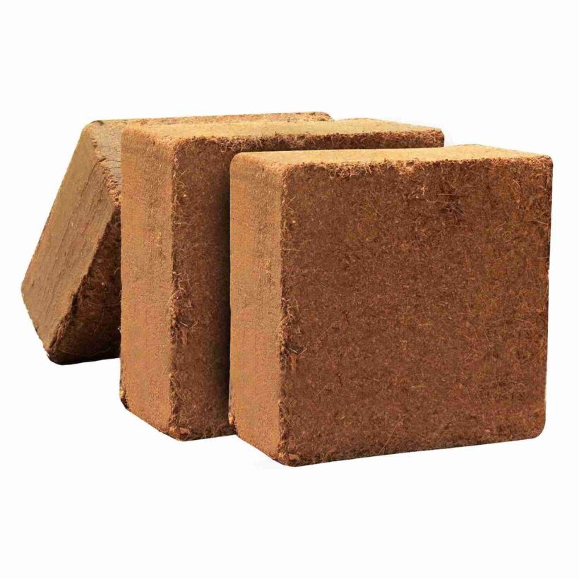 Top Strategies for Finding Cocopeat Block Exporters